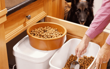 Как правильно хранить сухой корм дома?