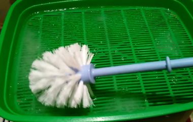 Как выбрать и использовать дезинфицирующее средство для лотка?