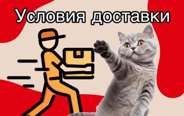Условия доставки зоомагазина Zooland 