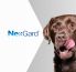NexGard