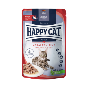 Culinary Meat in Sauce VoralpenRind - мясные кусочки в соусе (говядина)