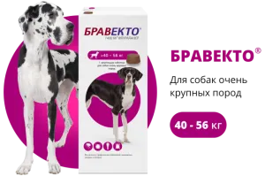 Бравекто (BRAVECTO) жевательная таблетка для собак 40–56 кг, 1400 мг