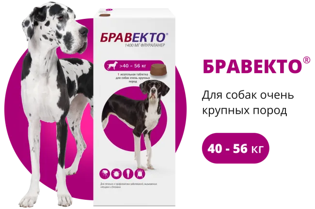 Бравекто (BRAVECTO) жевательная таблетка для собак 40–56 кг, 1400 мг