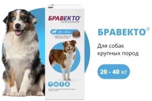 Бравекто (BRAVECTO) жевательная таблетка для собак 20–40 кг, 1000 мг
