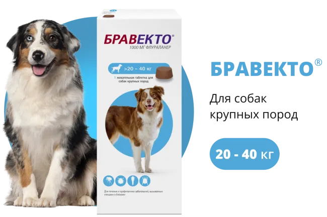 Бравекто (BRAVECTO) жевательная таблетка для собак 20–40 кг, 1000 мг