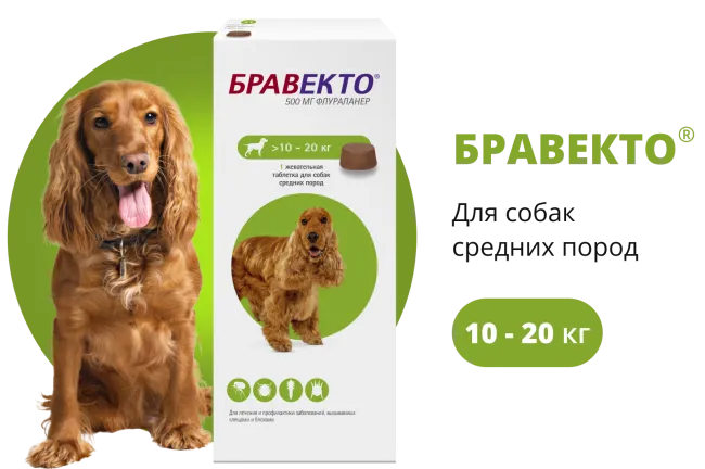 Бравекто (BRAVECTO) жевательная таблетка для собак 10–20 кг, 500 мг