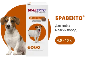 Бравекто (BRAVECTO) жевательная таблетка для собак 4,5–10 кг, 250 мг