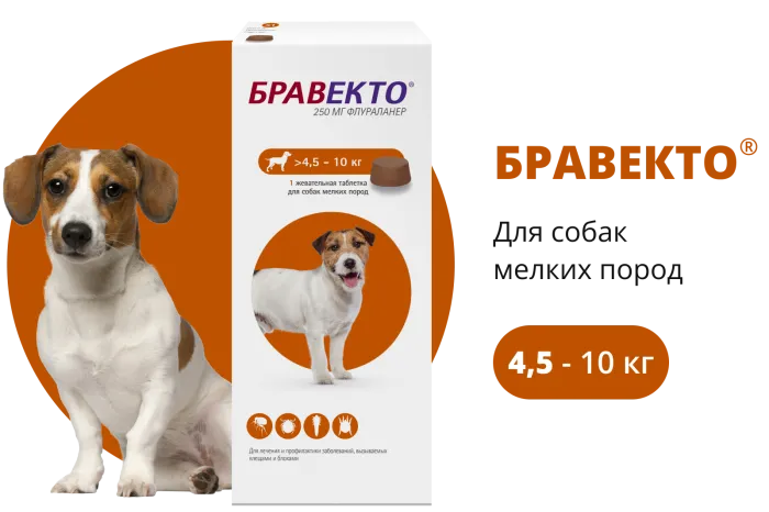 Бравекто (BRAVECTO) жевательная таблетка для собак 4,5–10 кг, 250 мг