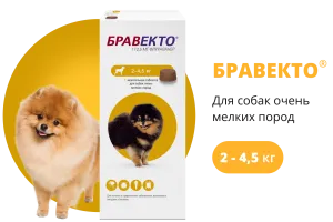 Бравекто (BRAVECTO) жевательная таблетка для собак 2–4,5 кг, 112,5 мг