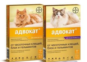 Капли Адвокат на холку для кошек