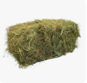 Cено луговое Sevi для грызунов, 600 гр